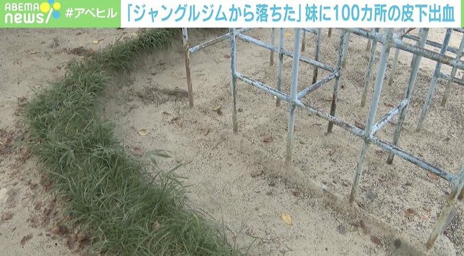 暴力がストレスのはけ口に？ 妹を死なせた容疑で17歳兄を逮捕 臨床心理士「周りの環境を含めたケアを」 1枚目