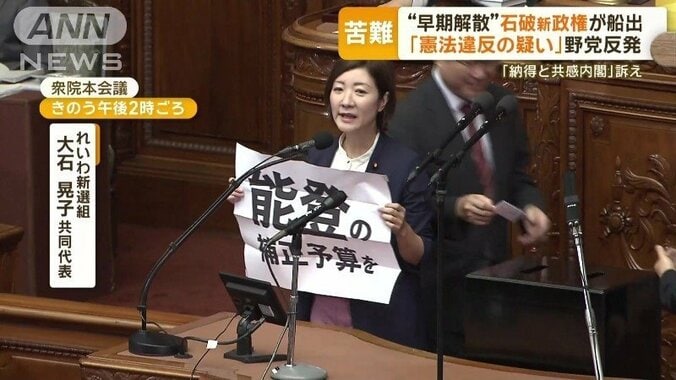 れいわ新選組　大石晃子共同代表