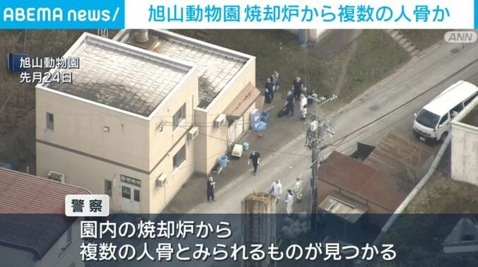 旭山動物園