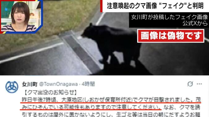 女川町が投稿した“巨大クマ”のフェイク画像