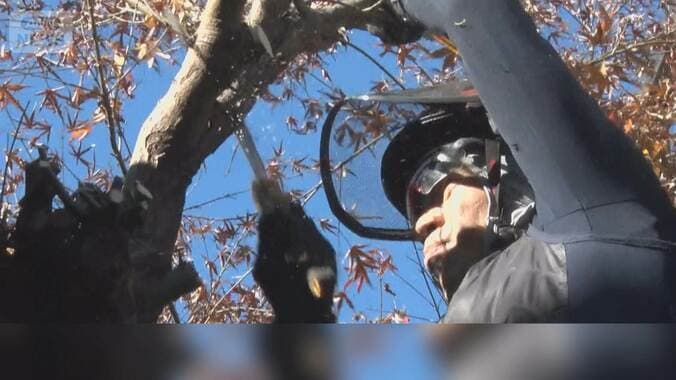 「庭じまい」老親の荒れた庭の草木整理　防犯や近隣トラブル防ぐ　家族の思い出は尊重 1枚目