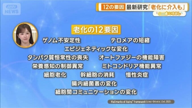 老化の12要因とは？