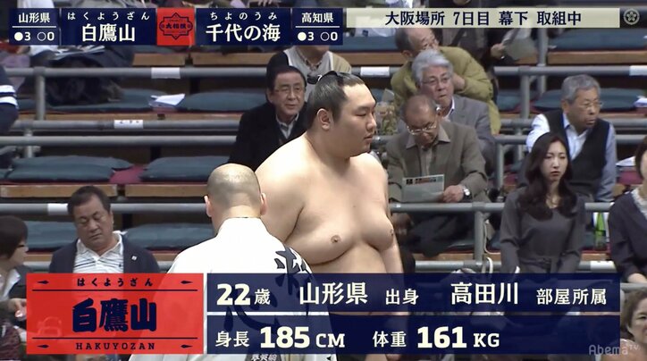 今では珍しい“中卒力士” 白鷹山が十両確実　相撲未経験者を一から教える高田川親方