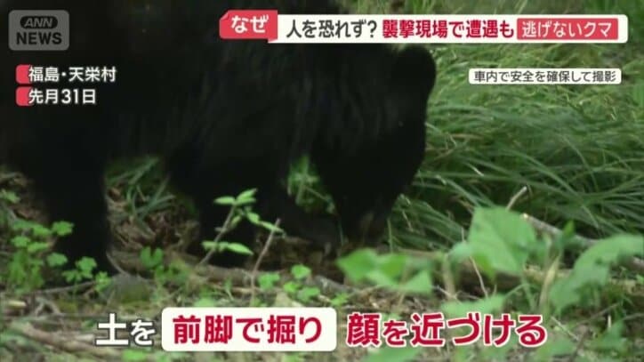 食べるものを探している？