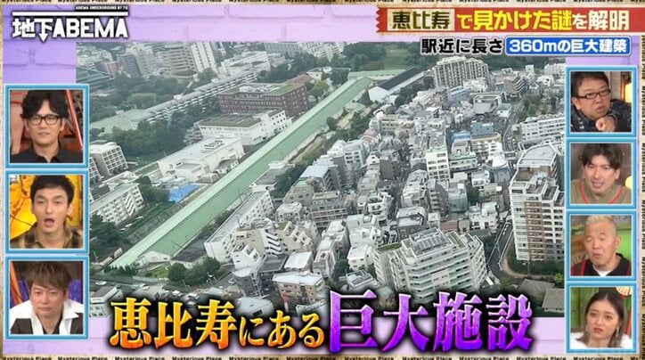 【写真・画像】廃墟のようなツタの塊…環状通り沿いの謎の建物の正体に驚き 2枚目