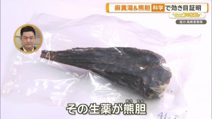 熊の胆のうの生薬、熊胆