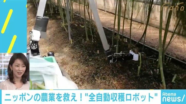 リアル下町ロケット?「アスパラガス」を自動収穫するロボットに農業界大注目