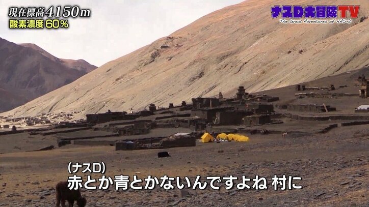 「初めての友達」ナスD、天空のヒマラヤ部族と初交流…現れた“小さな訪問者”とは?