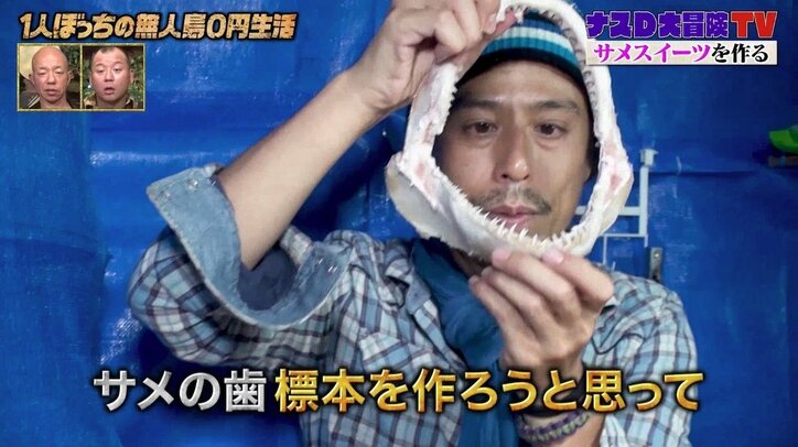 サメの汚れに効くのは入れ歯洗浄剤のポリデント？ ナスD「これでしつこい汚れを一網打尽です」