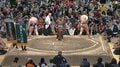 ものスゴい存在感…！ 水色ニット姿のベテラン人気タレントが大相撲観戦 元気にリアクションする様子に「目がいっちゃう」「テレビと一緒w」