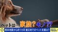 ペットと一緒に避難所へ…被災地で受け入れ体制に差“家族”と離れたくない飼い主と、動物が苦手な人・アレルギーがある人との共存は