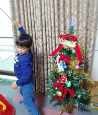 山田花子『ツリーにぶら下がっていた物』