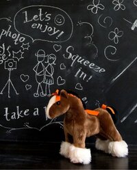 保田圭、子どもの名前に“馬”の漢字を希望「主人も私も大好きなんです」