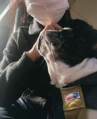 松居直美『おはようございます♪』