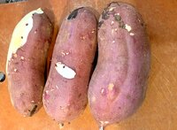 ラミレス美保『パパのディナー』