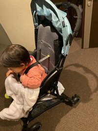 光上せあら『ピジョンのビングル』