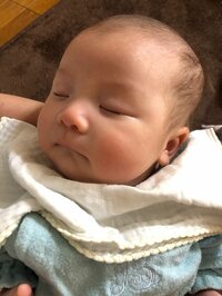 川島菜月『ずるい男』