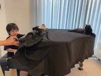 アレクサンダー『朝からピアノやりますか　』