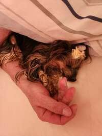 武東由美 『結婚無理と思った時』