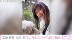 工藤静香、手術を終えた愛犬とのじゃれあいを公開「雨でもちょっと出られて気持ちよかったんだよね。良かったね」