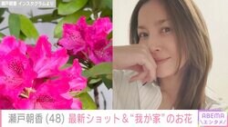 “パパそっくり”長男が話題 井ノ原快彦の妻・瀬戸朝香（48）、最新ショットを添え“我が家”のお花を紹介