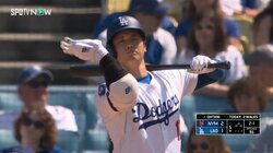 虫にも好かれる大谷翔平 コアなファンは自打球に続く“快音フラグ”と喜ぶ珍現象「虫が来るとよく打つ」