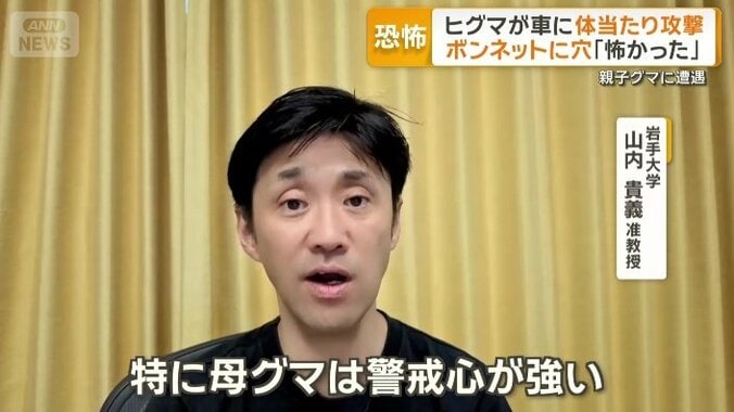岩手大学　山内貴義准教授