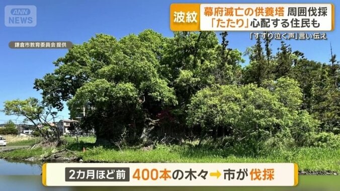 400本の木々に囲まれていた