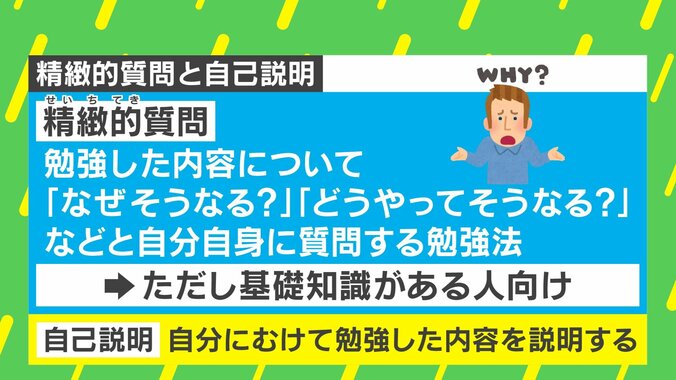 精緻的質問と自己説明