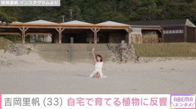 吉岡里帆