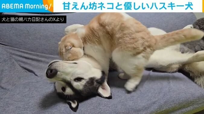 はっちゃんとじゅんちゃん
