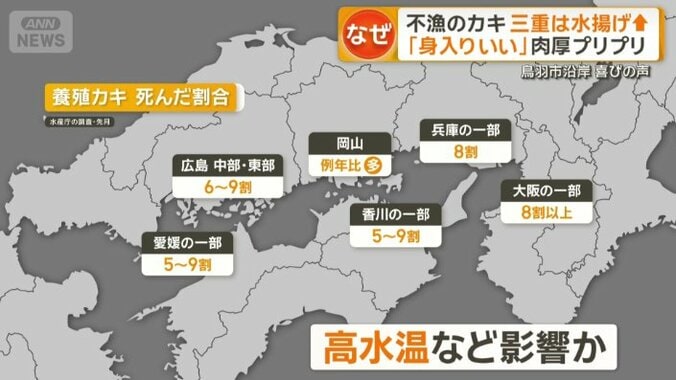 瀬戸内海を中心に歴史的不漁のカキ