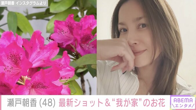 【写真・画像】“パパそっくり”長男が話題 井ノ原快彦の妻・瀬戸朝香（48）、最新ショットを添え“我が家”のお花を紹介　1枚目