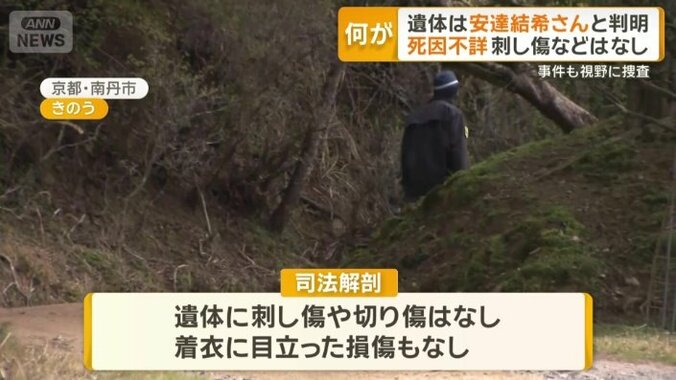 刃物などによる刺し傷や切り傷などはなし