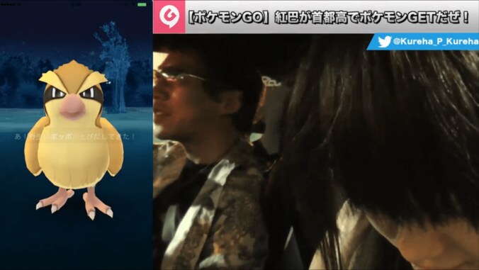 たぶん世界初！『ポケモンGO』首都高１周して出現ポケモンの検証・実況してみた 5枚目