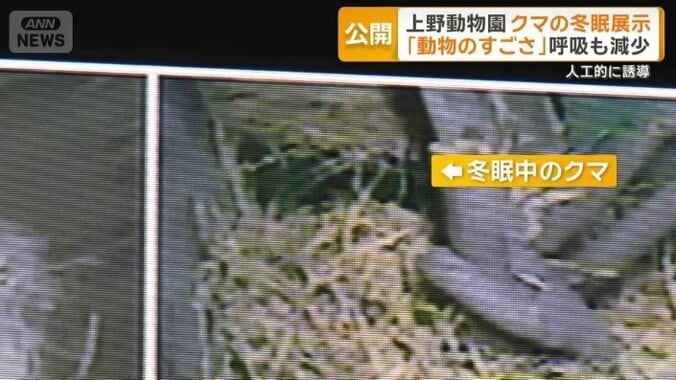 マイナス5℃に設定した部屋の隅で…