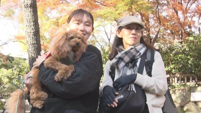 SNS映えで若者殺到　「深大寺」紅葉狩りで平日も多くの人　今年の夏 人気に火が付く 1枚目