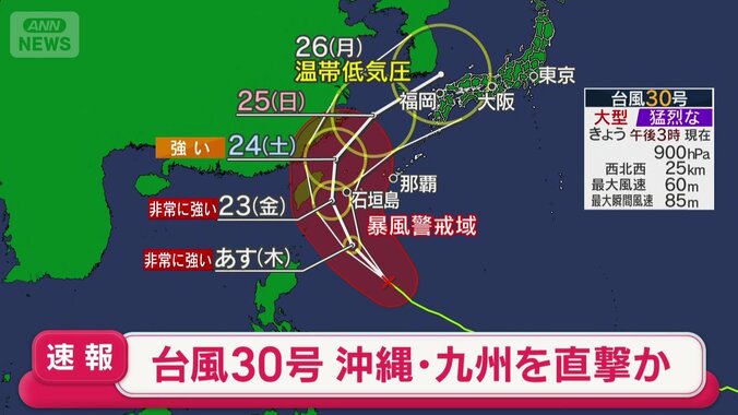 【台風情報】台風30号 沖縄で猛烈な風 けが人や倒木被害 停電も　26日から27日にかけ西日本に接近、上陸の恐れ　今後の進路は 18枚目