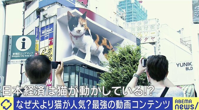 SNS最強コンテンツ“猫”「安易な気持ちで飼わないで」ご飯やトイレ、病院代…人気の裏に“飼育放棄”の現実も 4枚目