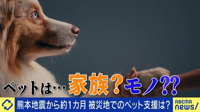 ペットと避難