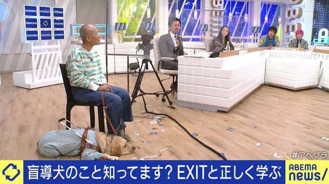 “同伴可”のレストランなのに“入店拒否”も…視覚障害者の女性「私のパートナー、盲導犬の姿を知って」 5枚目