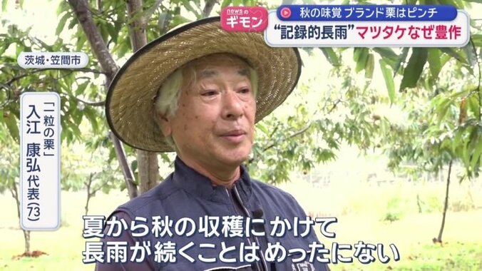 「一粒の栗」　入江康弘代表