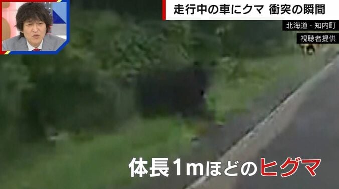 走行中の車にクマが突っ込む“恐怖の瞬間” バンパーには牙の跡が…乗車男性「生身だったらやばかった」 5枚目