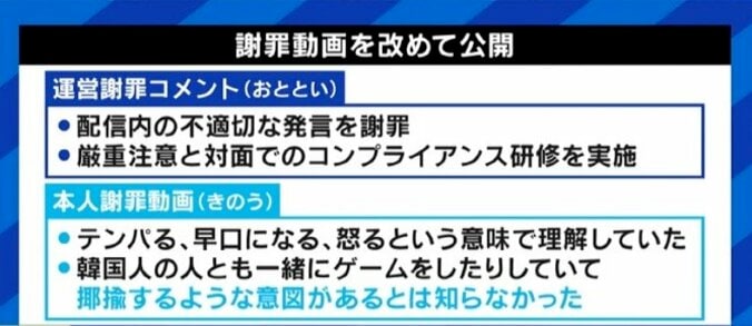 意味を知らずに言葉を使った場合も処分を受けるべきなのか? 人気VTuberローレン・イロアスさんの活動休止から考える 6枚目