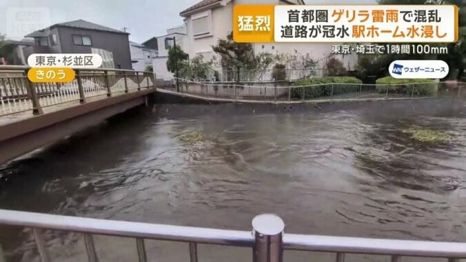 善福寺川