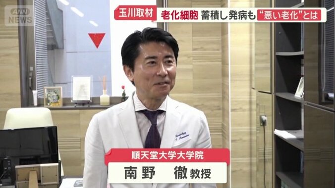 順天堂大学大学院の南野徹教授