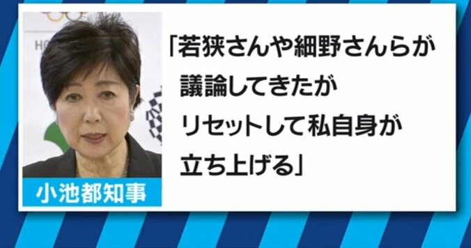 “小池総理誕生”を細川、小泉、小沢が後押しする可能性？今回の出馬は?　大下英治氏が指摘 5枚目