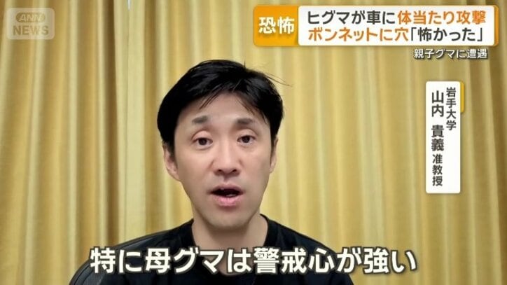 岩手大学　山内貴義准教授