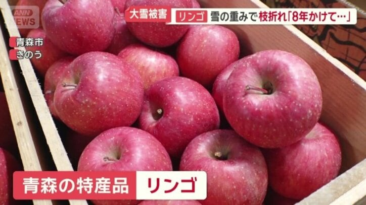リンゴにも大きな被害