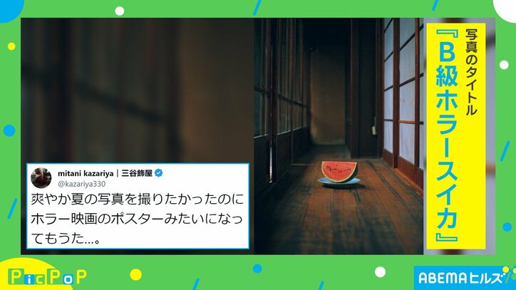 爽やかな写真を撮りたかったのに… “ホラーすぎる”スイカの写真に「横から手が出ていたら最高」「絶対廊下の奥からなんか来る」の声